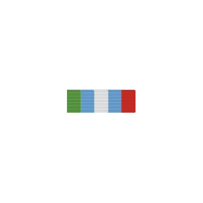 Medalla de la ONU (UNMIBH)