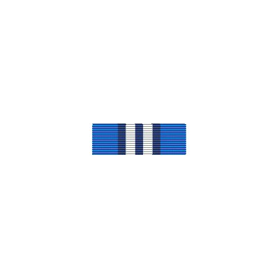 Medalla de la ONU (UNMIS)