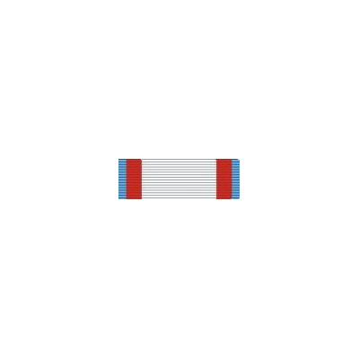 Cruz del Merito Aeronautico distintivo azul