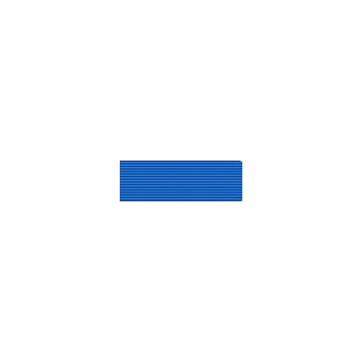 Medalla de la ONU (Servicios Generales)