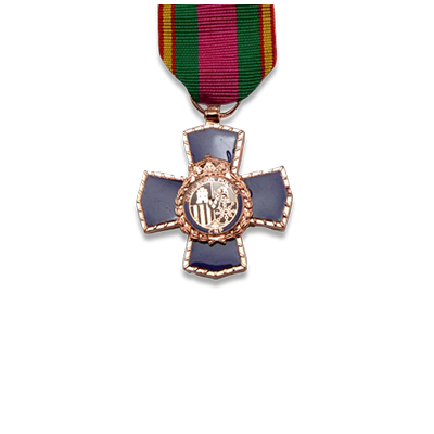 Medalla a la Dedicación al Servicio Policial, 20 Años