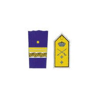 PALA GENERAL DE DIVISIÓN