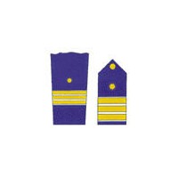 PALA TENIENTE CORONEL