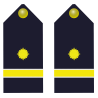 PALAS CUERPO DE INTENDENCIA
